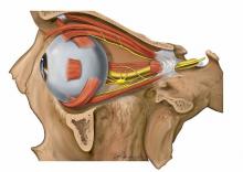 آناتومی-عصبی-بینایی