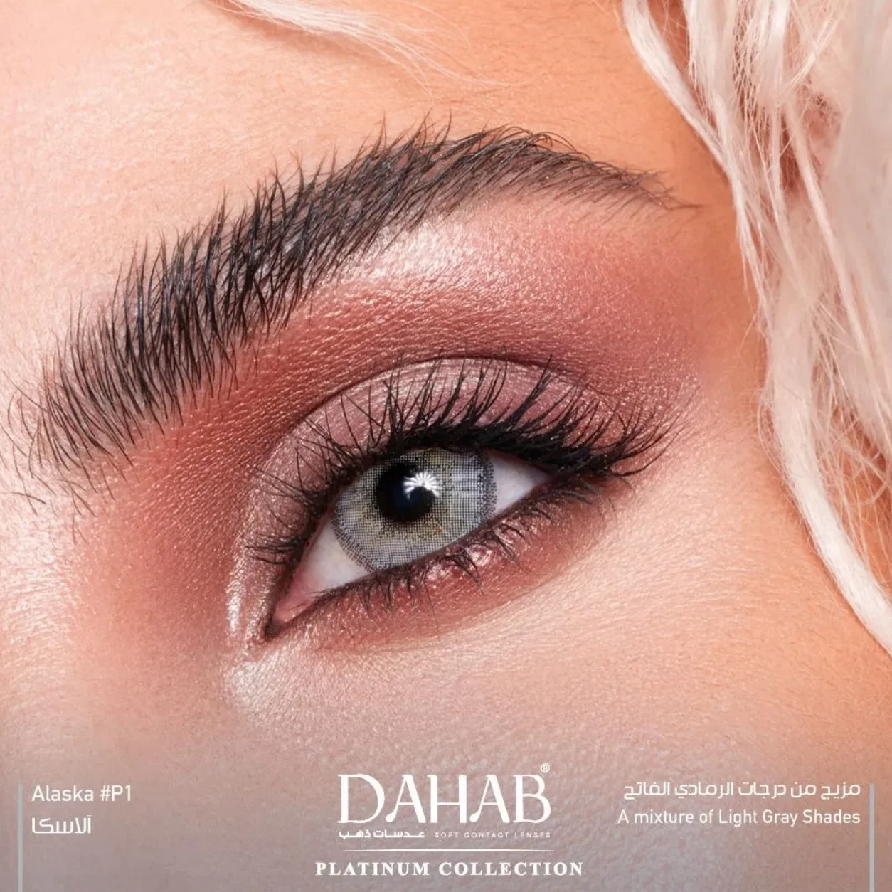 لنز رنگی سالانه دهب سری پلاتینیوم (Dahab)